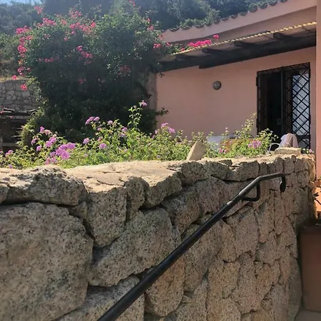 Emanuela Arzachena